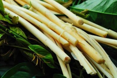 Đọt M&acirc;y X&agrave;o Tỏi